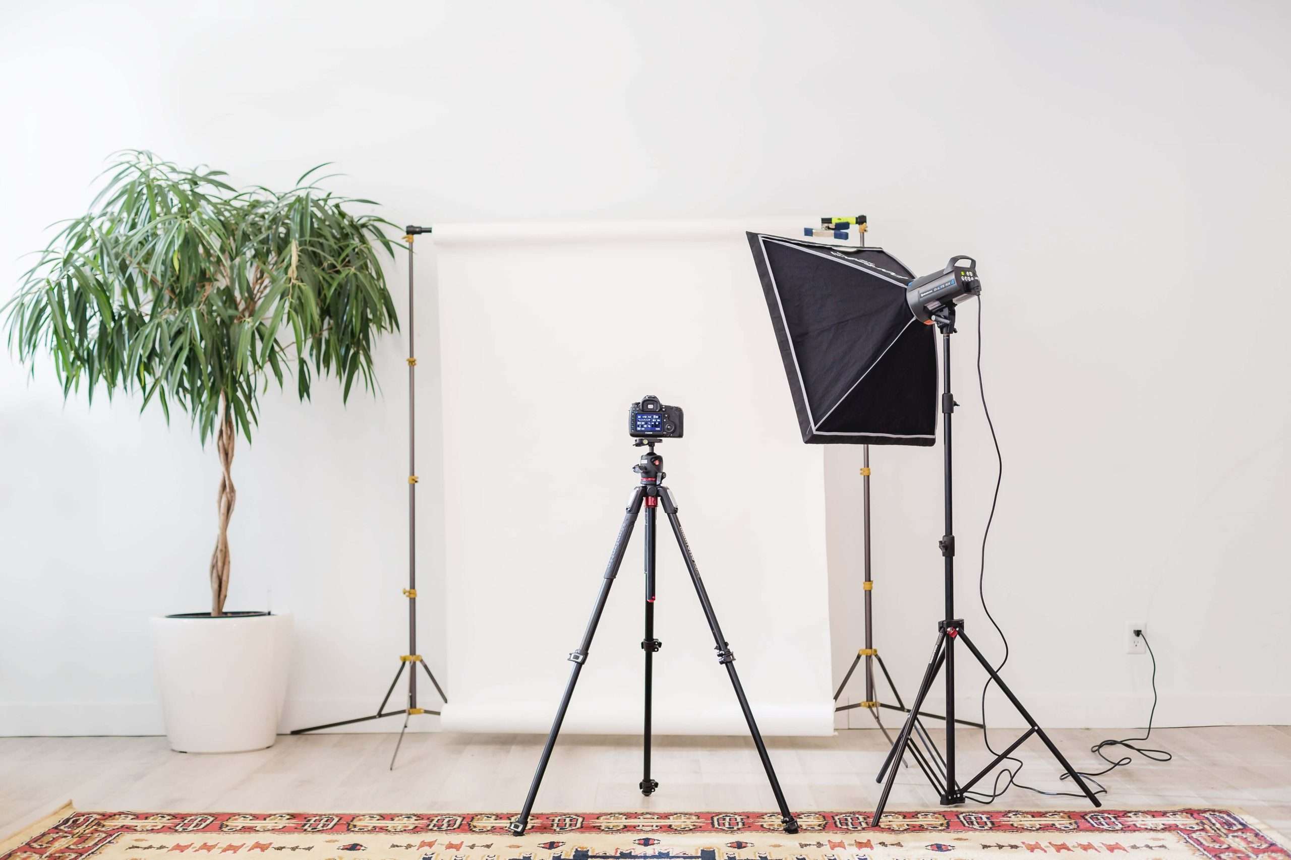 Photography studio setup with a tripod-mounted DSLR, softbox light, and white paper backdrop—showing essential tools for producing tack sharp images and reducing motion blur.